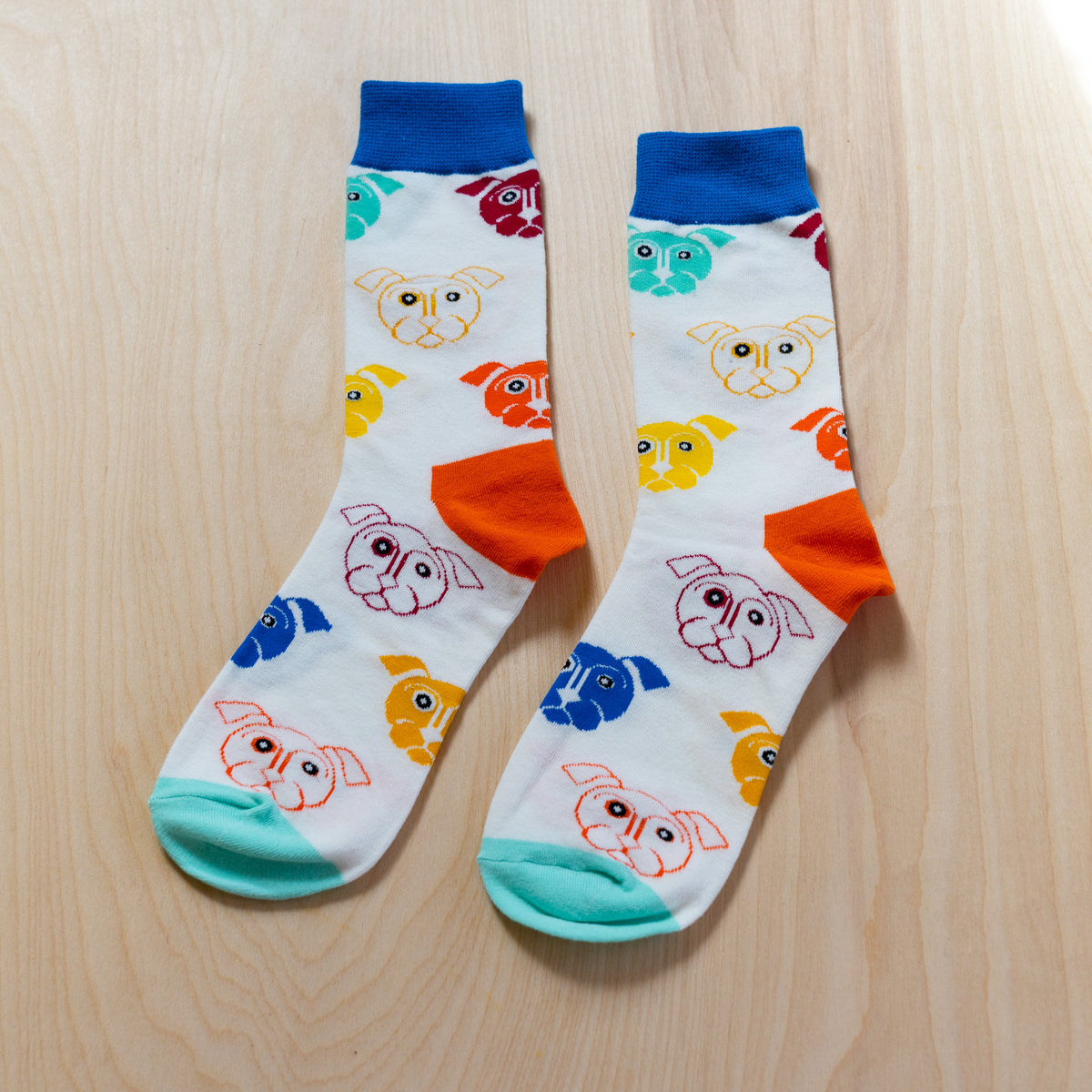 Rainbow Bulldog Socks