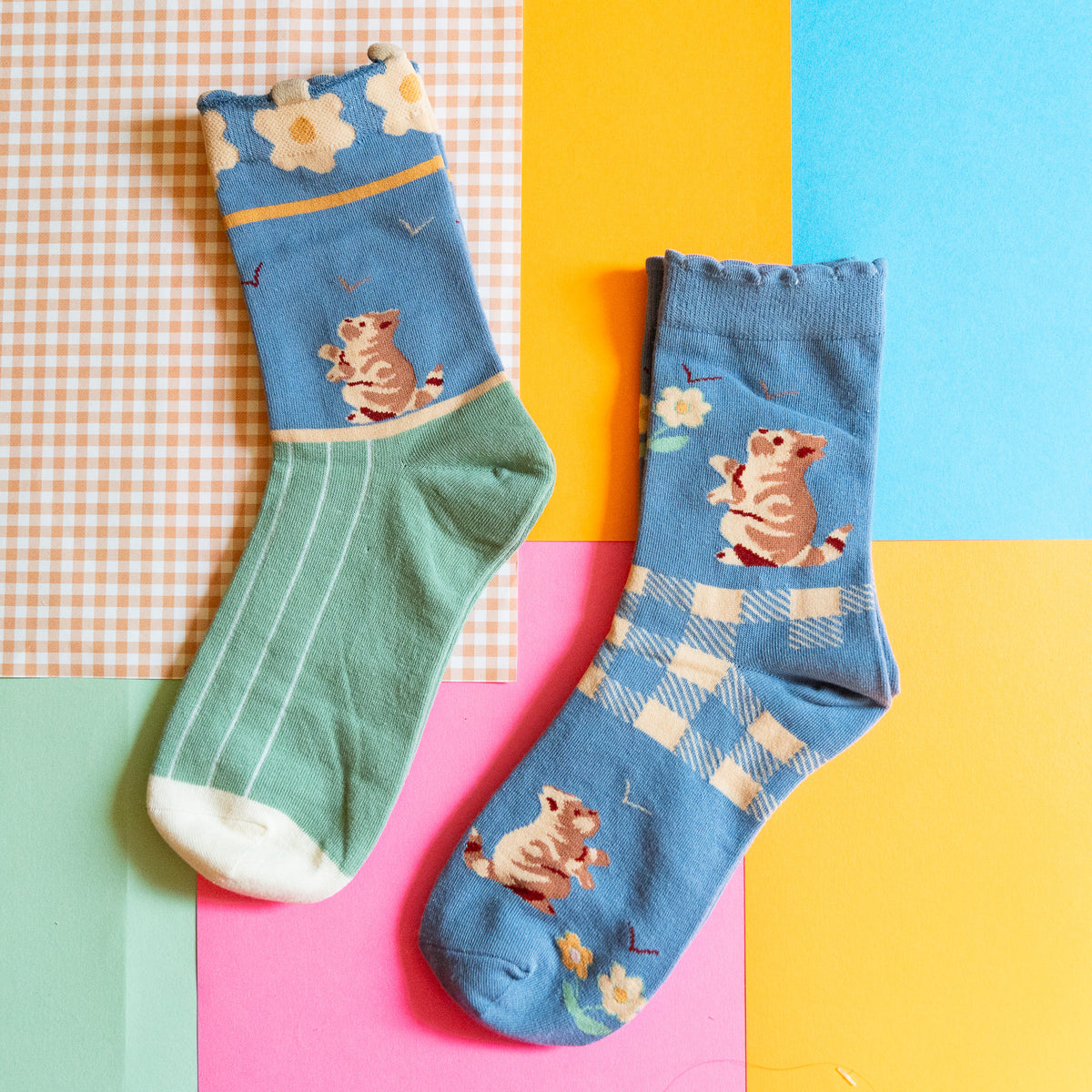 Kittens Socks