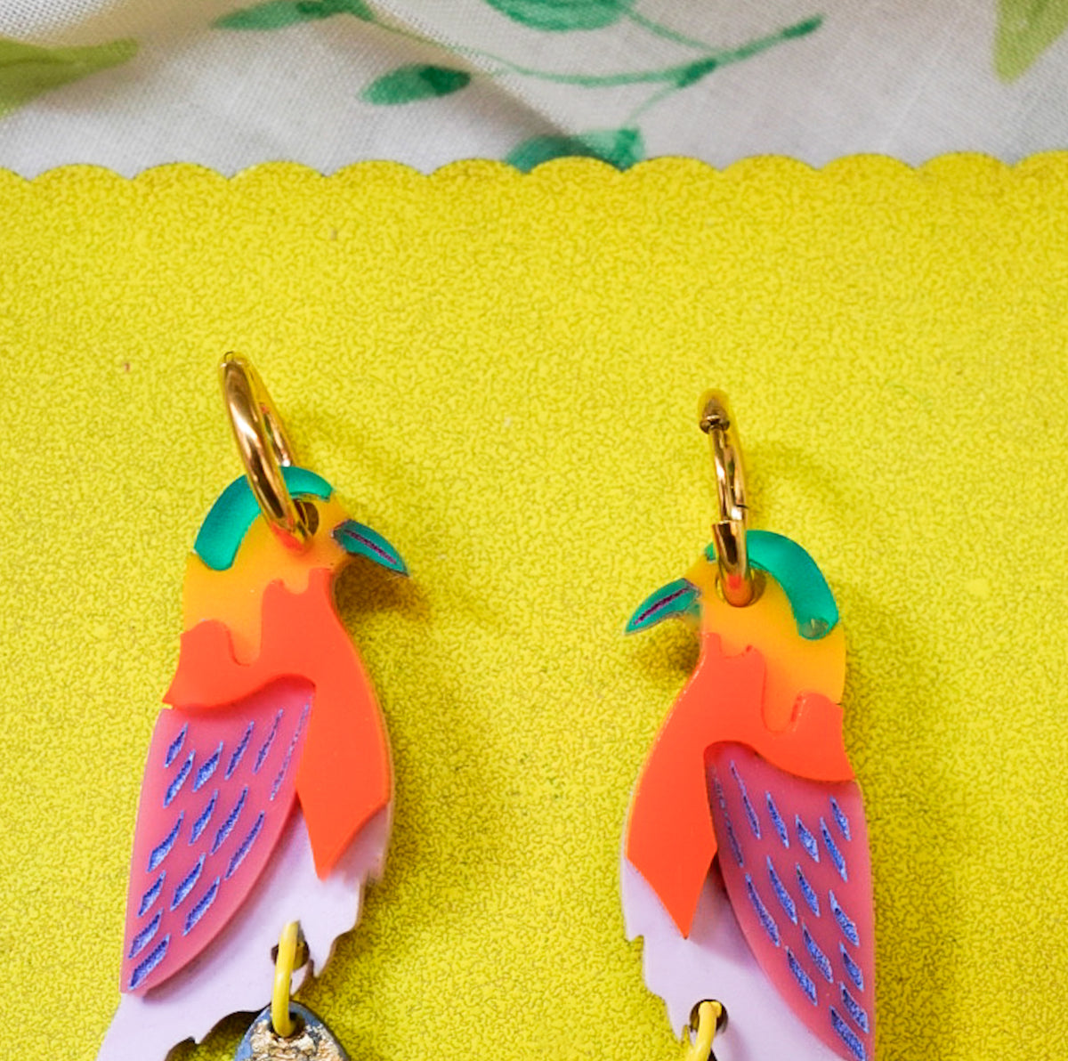 Rainbow Finches